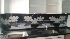 Kadýköyde mutfak tezgah arasý cam panel çiçekli